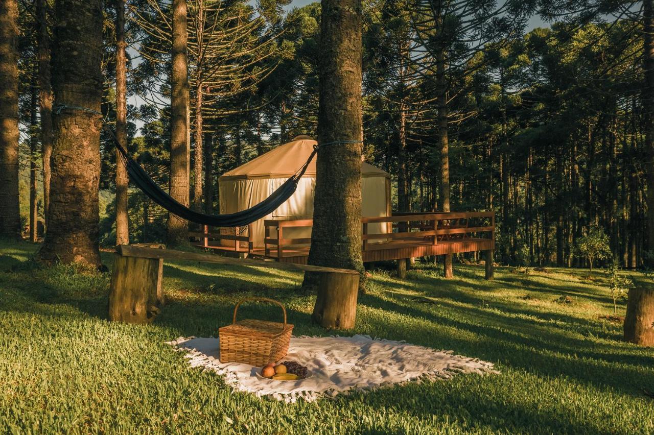 Estancia Las Araucarias Canela Luaran gambar